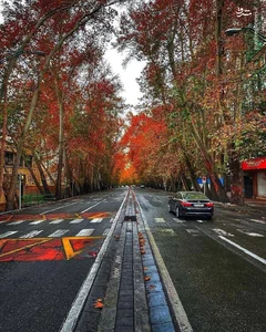 محصولات فرهنگی داریوش