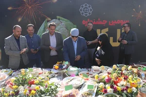 جشنواره گل کلم کهریزک