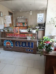 بیمه ایران - دادپور