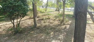 بوستان خلفی 4