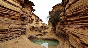 ژئوبوستان قشم