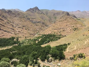دشت هویج
