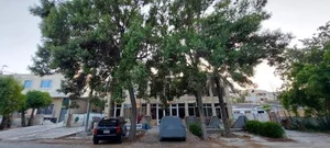 صنایع چوب صابری 3