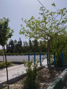 بوستان طراوت 4