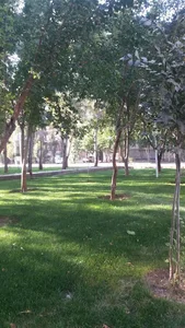 فضای سبز