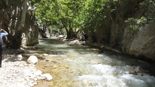 تنگ مهریان