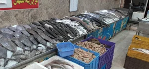 فروشگاه مرغ و ماهی دریا 3