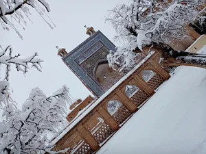 شرکت تولیدی صنعتی شاخص