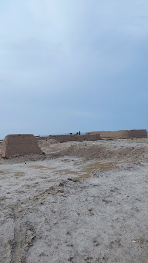 دشت ها