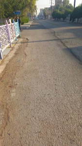 گلفروشی گلستان محمدی