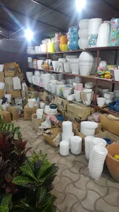 گل باغ آراد