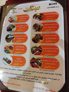شاندیز صفدری 2