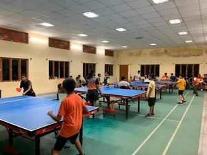 آکادمی پینگ پنگ آرپ