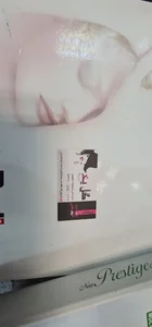 فروشگاه گل یخ 2