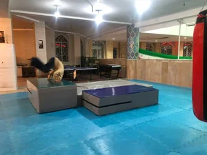 باشگاه پارکور و ژیمناستیک پوریای ولی (شیراز) 5
