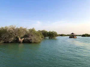 منطقه حفاظت شده جنگل حرا