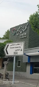 گل های زعیم 2