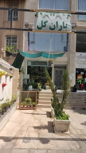 باران گل