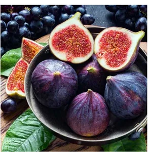 تجارت مواد غذایی 5