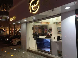 رایا سیستم