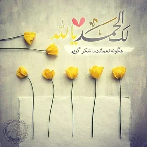 دکتر امیر بیگدلی