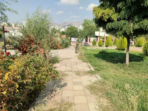 کتابخانه سید افضل موسوی