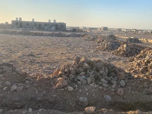 مسجد بر الولدين