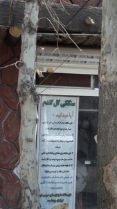 سنگکی گل گندم 2