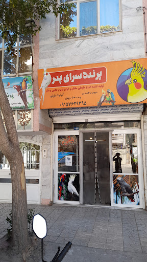 پرنده سرای پدر