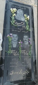 قطعه ۳۱۲