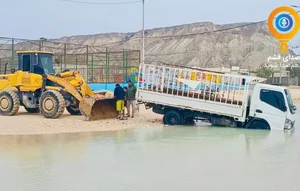 خیاطی مجلسی برتر دوخت وتولید