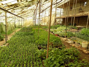 گلستان براتی