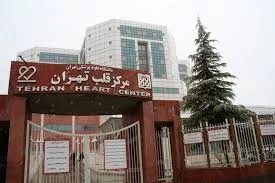 سعید ️ مهدیس