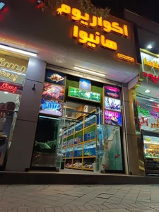 آکواریم هانیوا 2