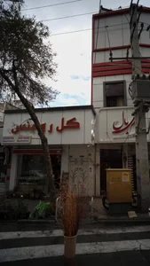 گل رومنس