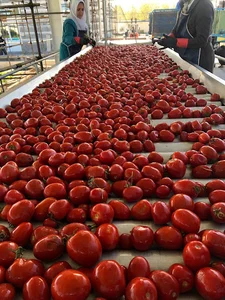 صنایع غذایی گاتا