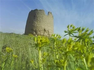 بخشایش