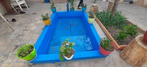 مهمانپذیر و اتاق مسافر انار